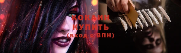 стаф Белокуриха