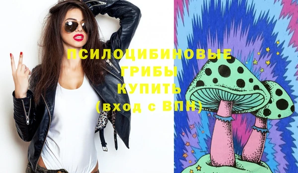 ПСИЛОЦИБИНОВЫЕ ГРИБЫ Белоозёрский