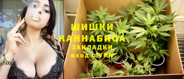 ПСИЛОЦИБИНОВЫЕ ГРИБЫ Белоозёрский