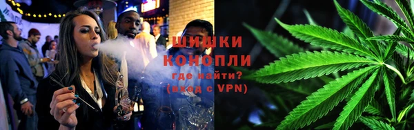 стаф Белокуриха