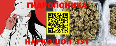 mdma Краснознаменск