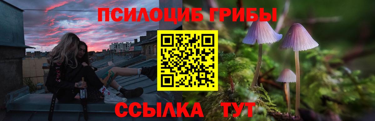 Верхний Уфалей  Псилоцибиновые грибы Psilocybine cubensis  Вход с VPN 